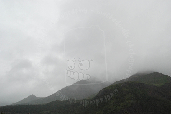 EmeraldFog